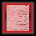 Pagli 01 * 22.03.2008 * 333 x 700 * (40KB)